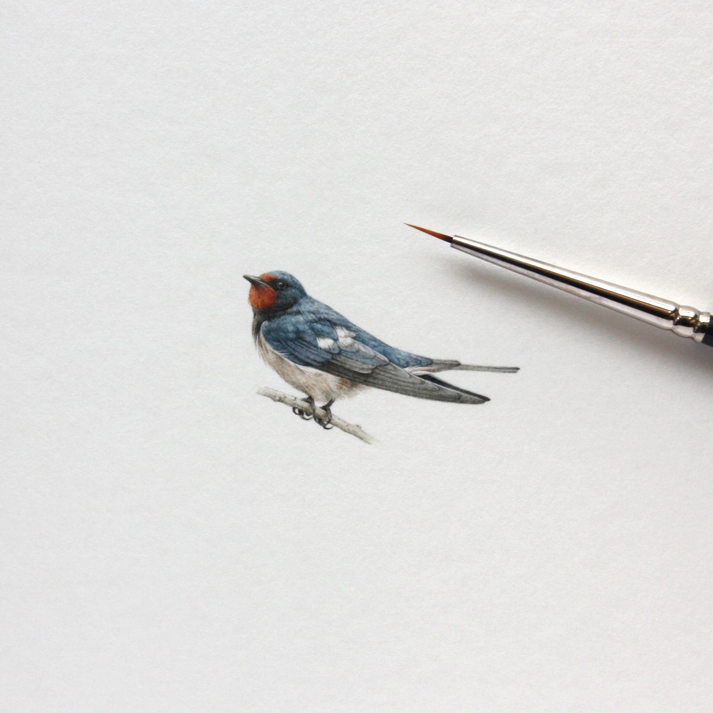 Original watercolor miniature painting. Barn Swallow (on a branch)