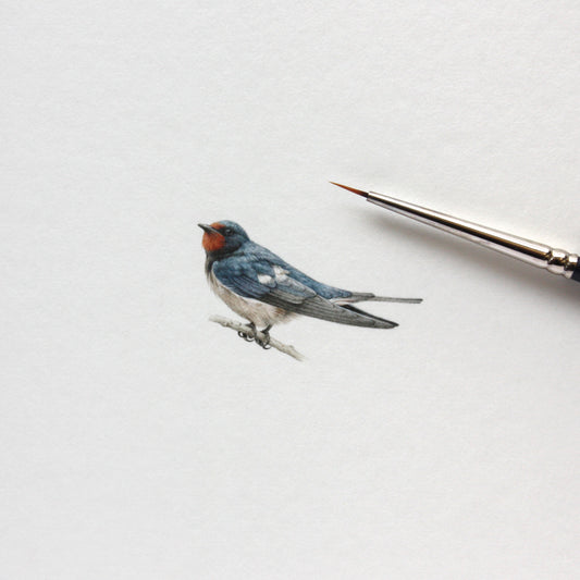 Original watercolor miniature painting. Barn Swallow (on a branch)