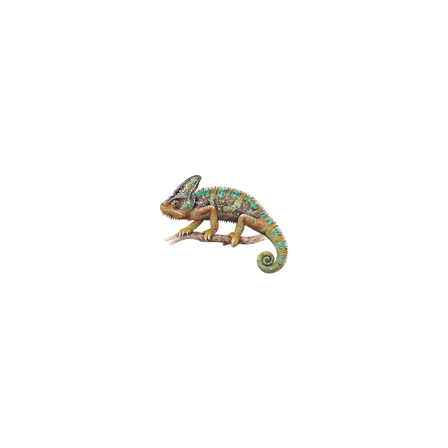 Chameleon. Print from original watercolor miniature painting