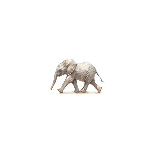 PRINT of watercolor miniature painting. Little Elephant