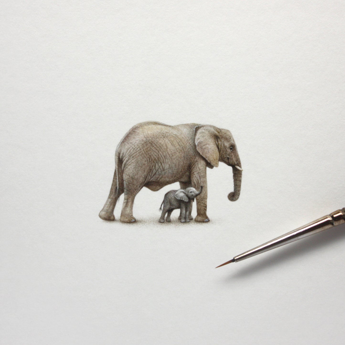 Elephants. Print from original watercolor miniature painting