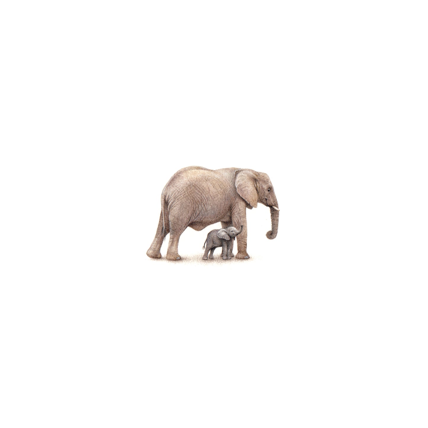 Elephants. Print from original watercolor miniature painting
