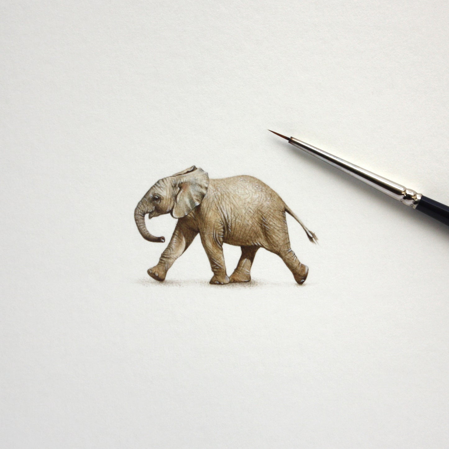 Little Elephant – Original Watercolor Miniature