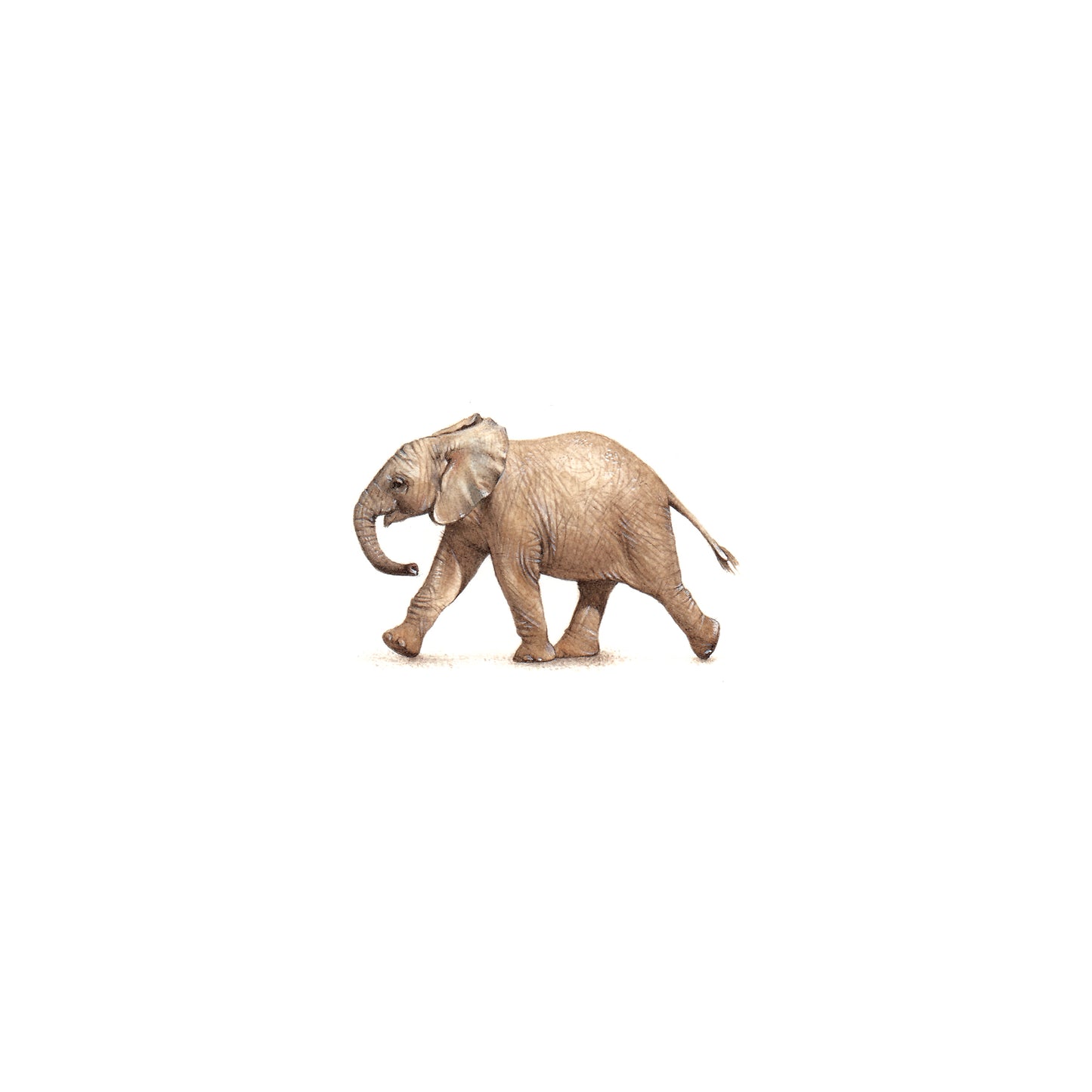 Little Elephant. Print from original watercolor miniature painting