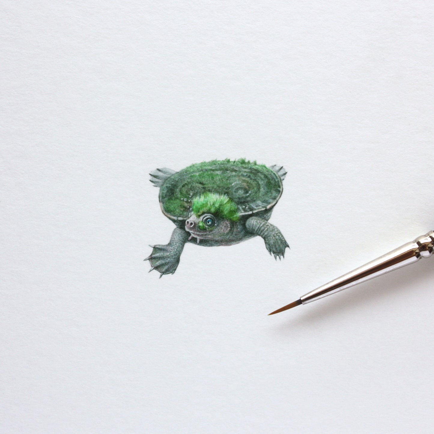 Mary River Turtle. Print from original watercolor miniature painting