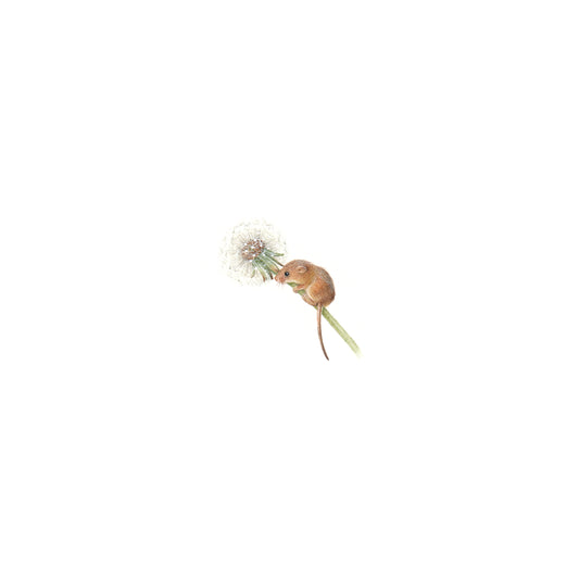 PRINT of watercolor miniature painting. Mouse with Dandelion