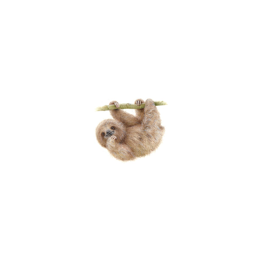 Pale-throated Sloth. Print from original watercolor miniature painting