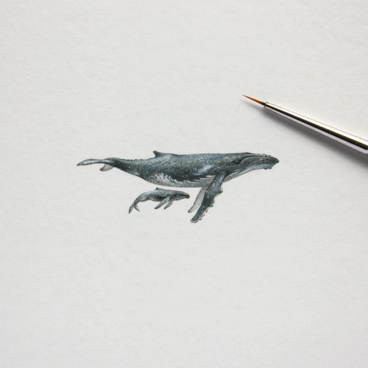Humpback Whales (Megaptera novaeangliae) – Original Watercolor Miniature