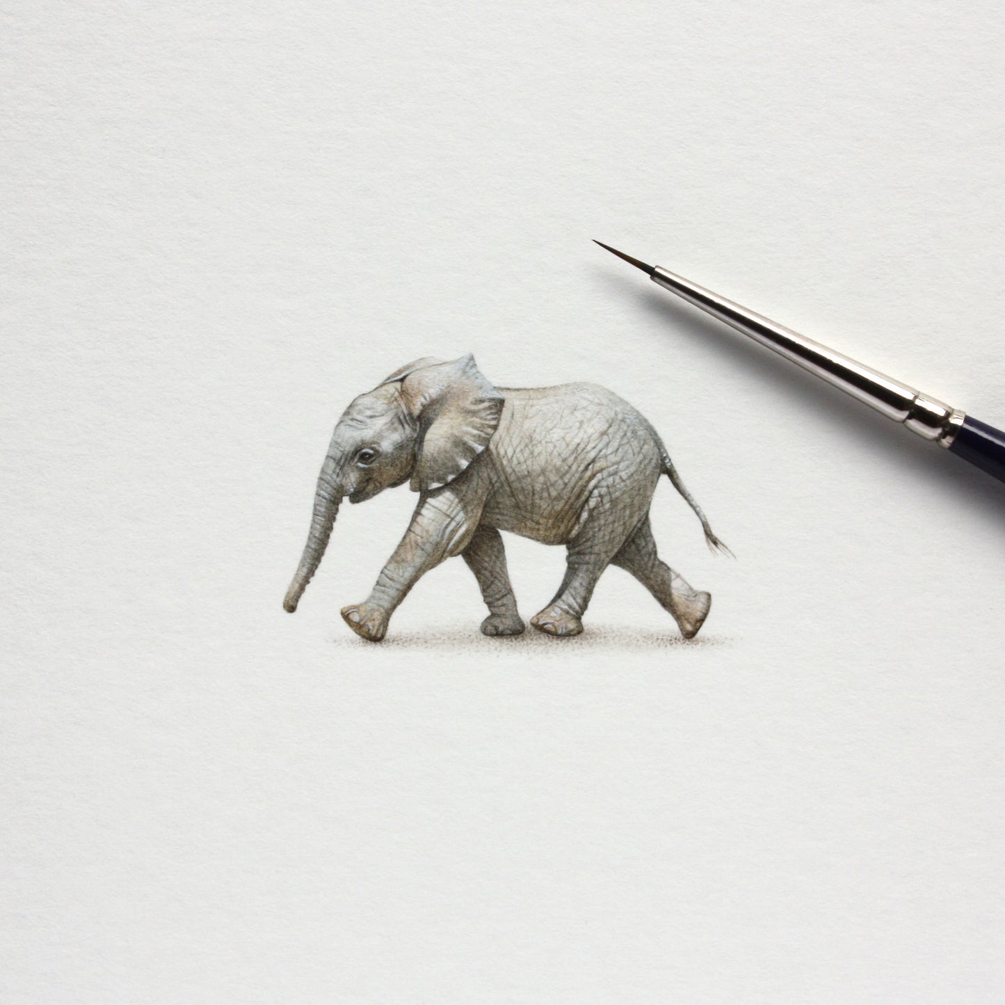 Little Elephant. Print from original watercolor miniature painting