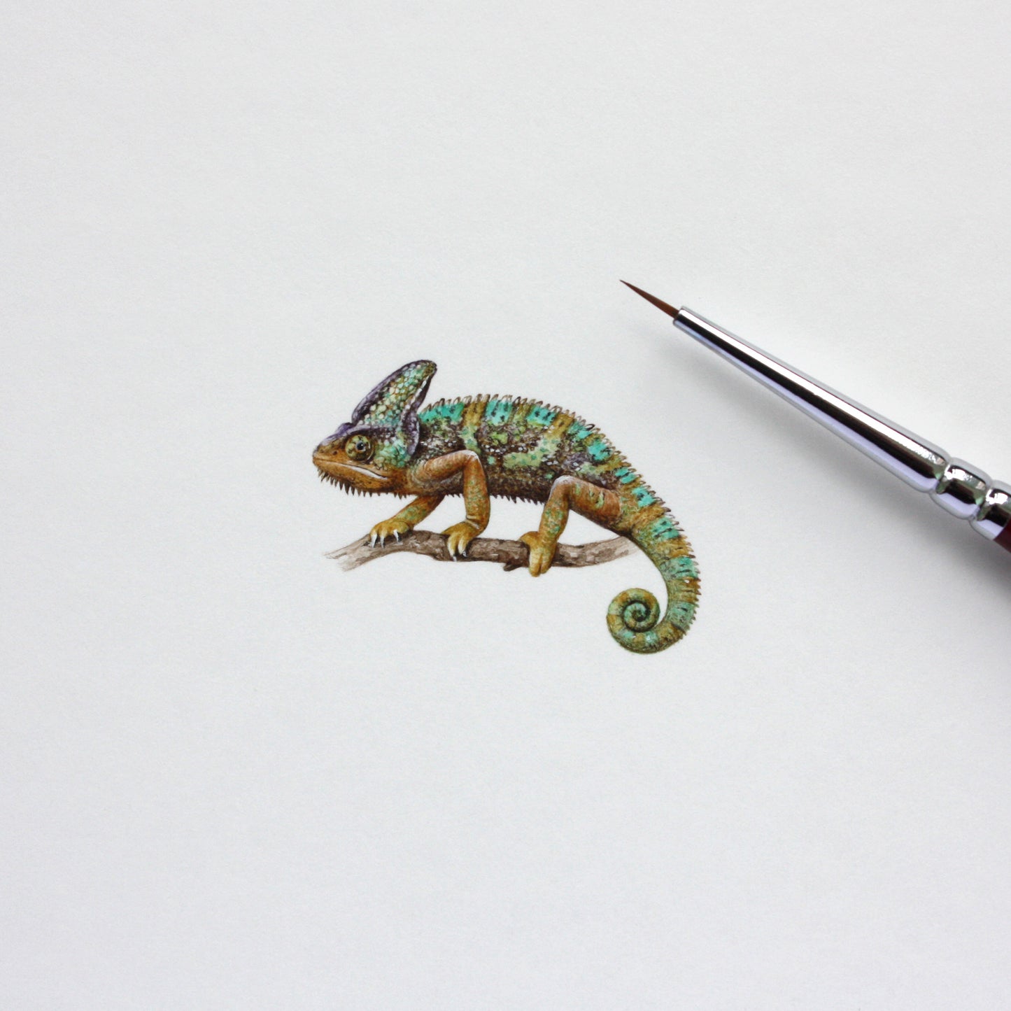 Chameleon. Print from original watercolor miniature painting