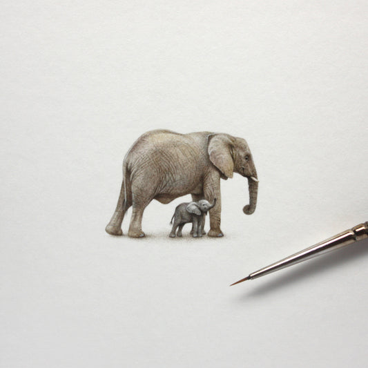 Original watercolor miniature painting. Elephants