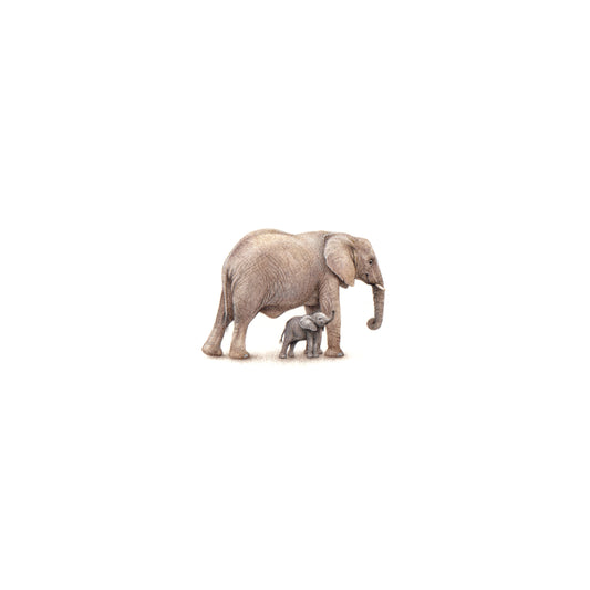 Elephants. Print from original watercolor miniature painting