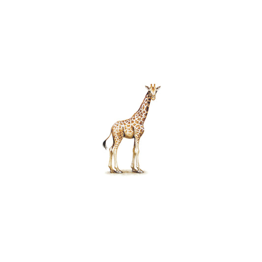PRINT of watercolor miniature painting. Giraffe