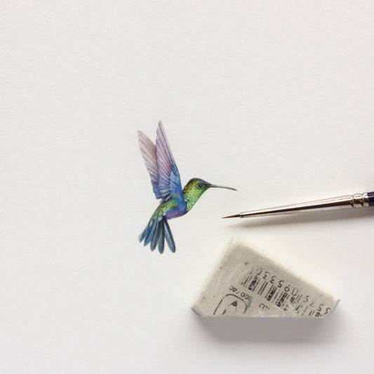 Original watercolor miniature painting. Hummingbird