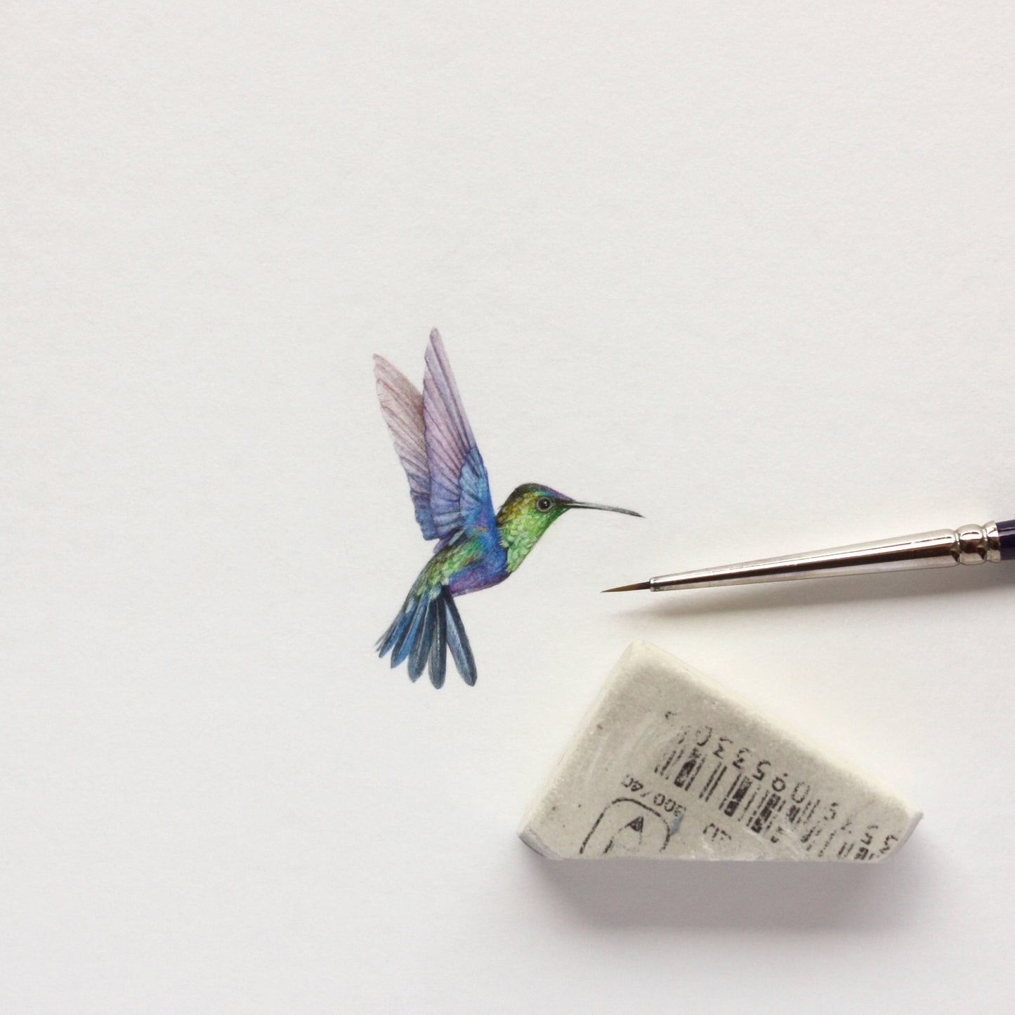 Hummingbird. Print from original watercolor miniature painting