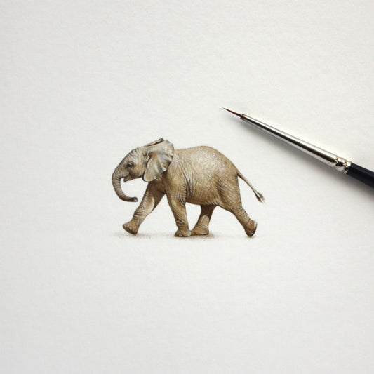 Little Elephant – Original Watercolor Miniature