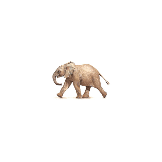 Little Elephant. Print from original watercolor miniature painting