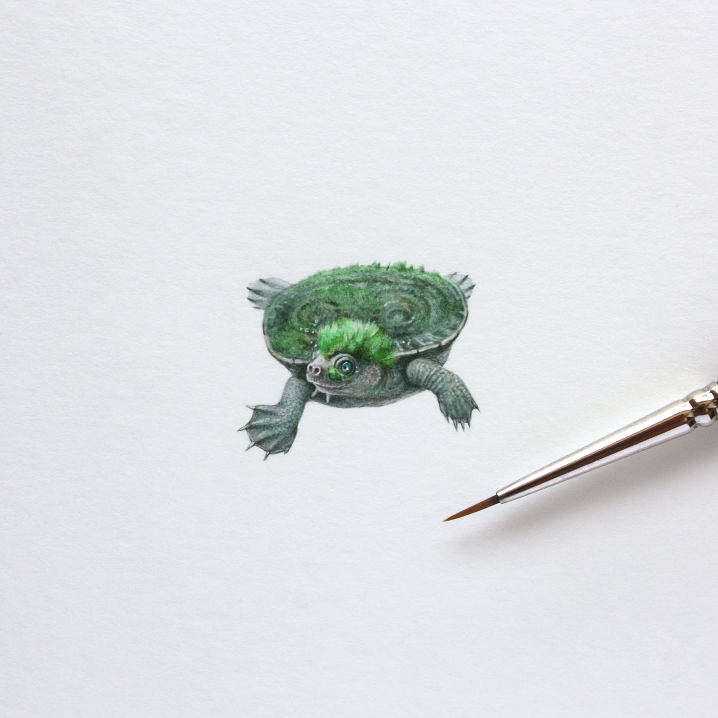 PRINT of watercolor miniature painting. Mary River Turtle