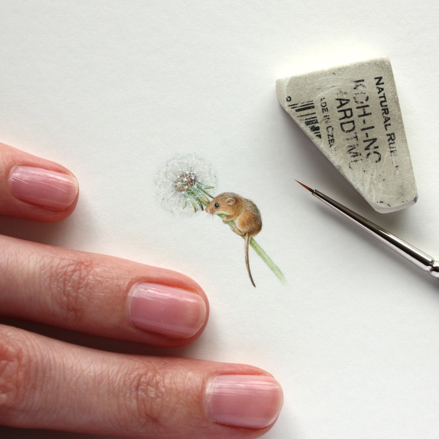 PRINT of watercolor miniature painting. Mouse with Dandelion