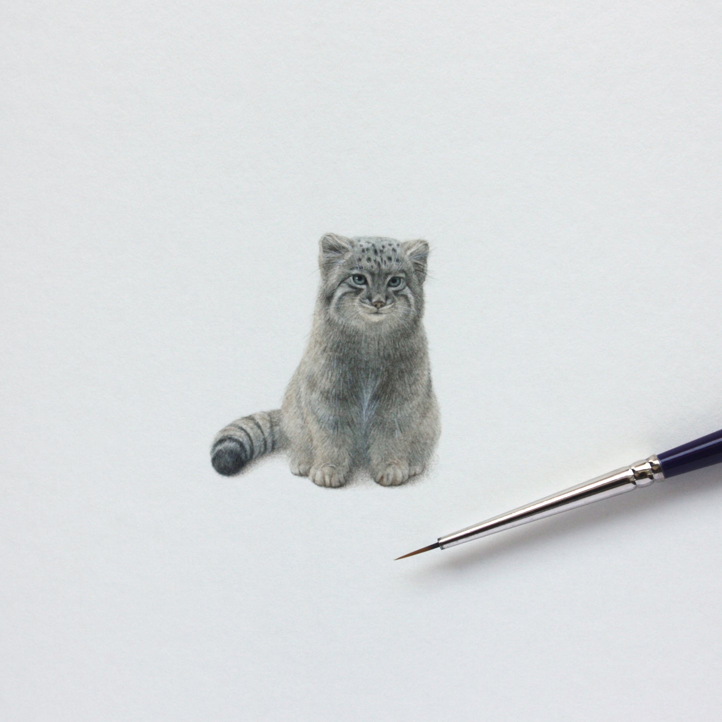 Pallas Cat (Manul). Print from original watercolor miniature painting