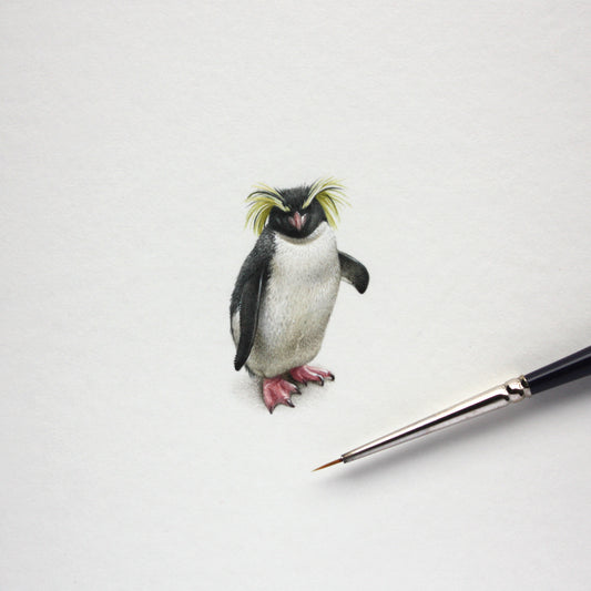 Rockhopper Penguin – Original Watercolor Miniature