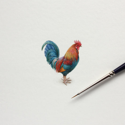 Original watercolor miniature painting. Rooster