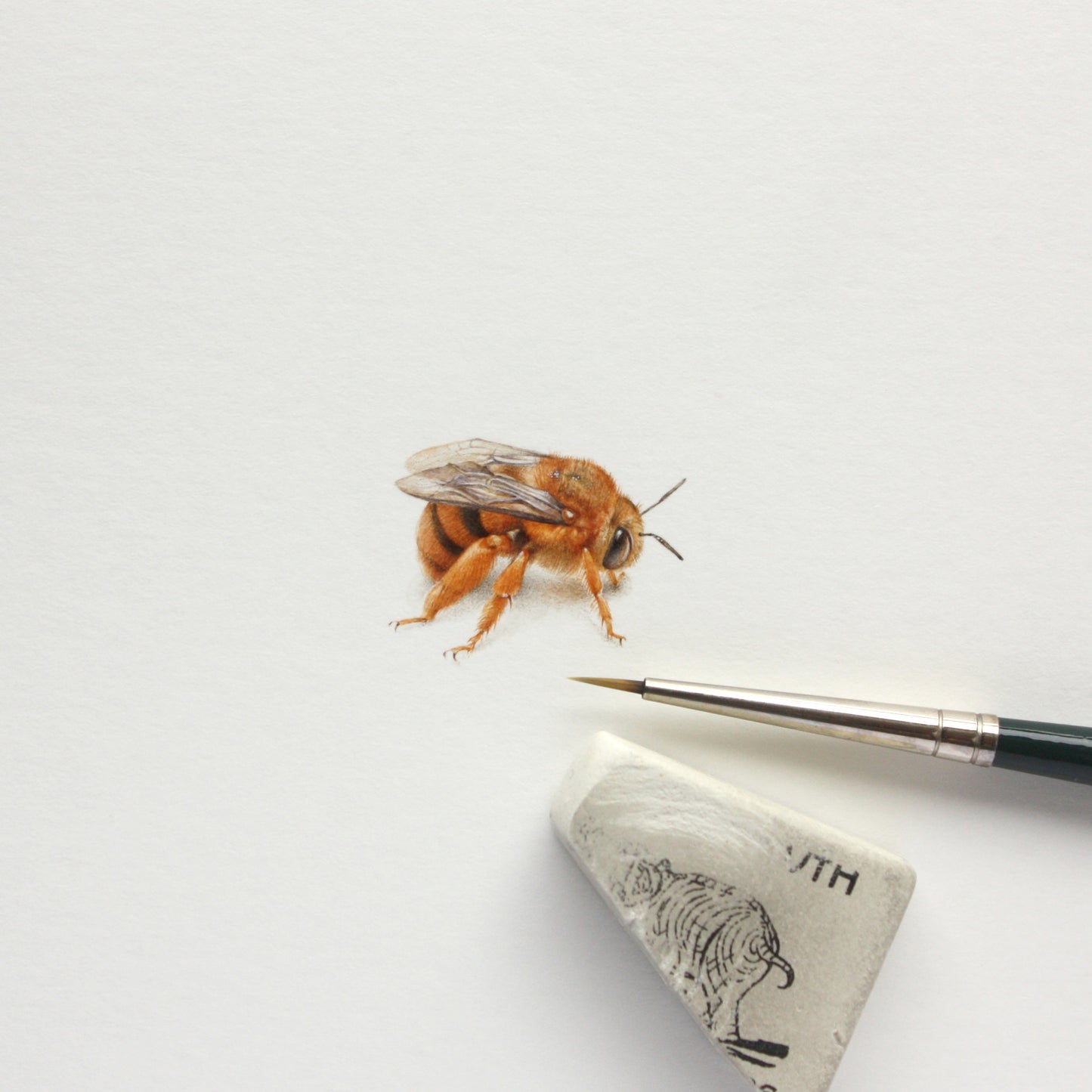 Teddy Bear Bee. Print from original watercolor miniature painting