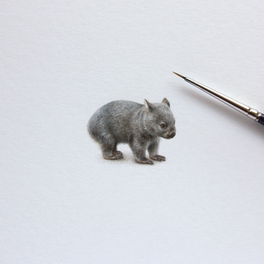 Original watercolor miniature painting. Wombat