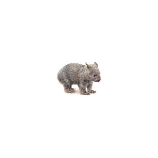 Wombat. Print from original watercolor miniature painting