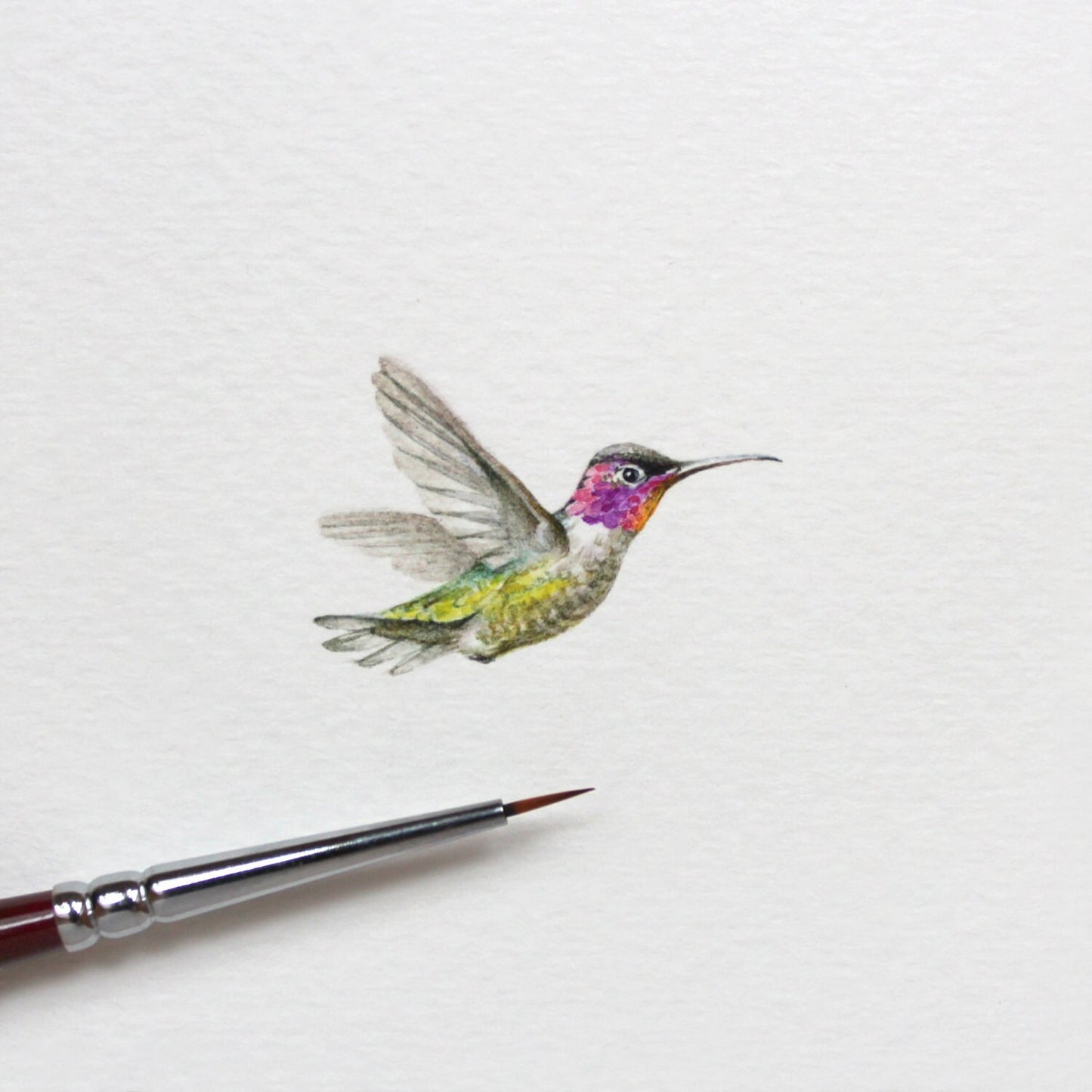 Hummingbird. Print from original watercolor miniature painting