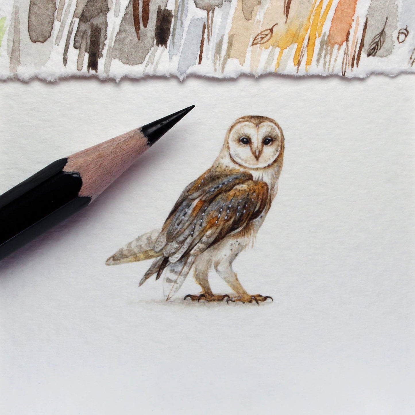 Barn owl. Print from original watercolor miniature painting