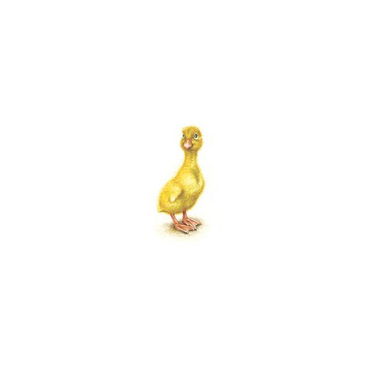 Duckling. Print from original watercolor miniature painting