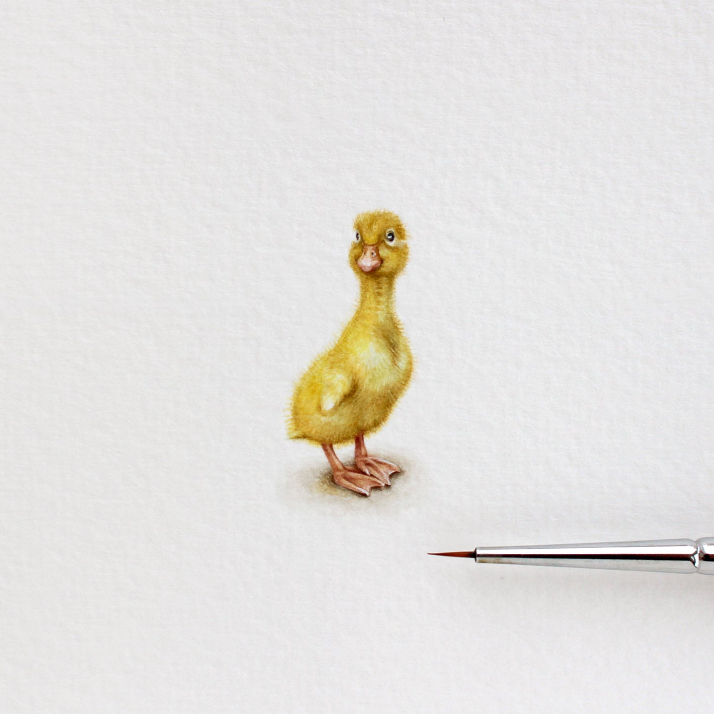 Duckling. Print from original watercolor miniature painting