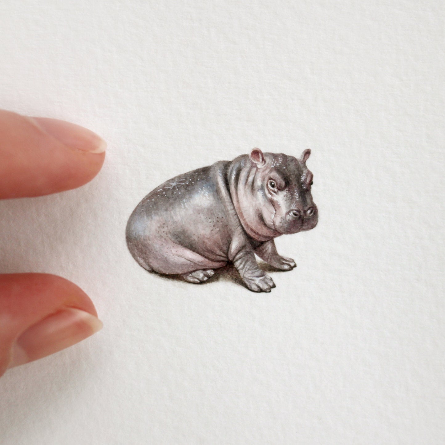 Hippo. Print from original watercolor miniature painting