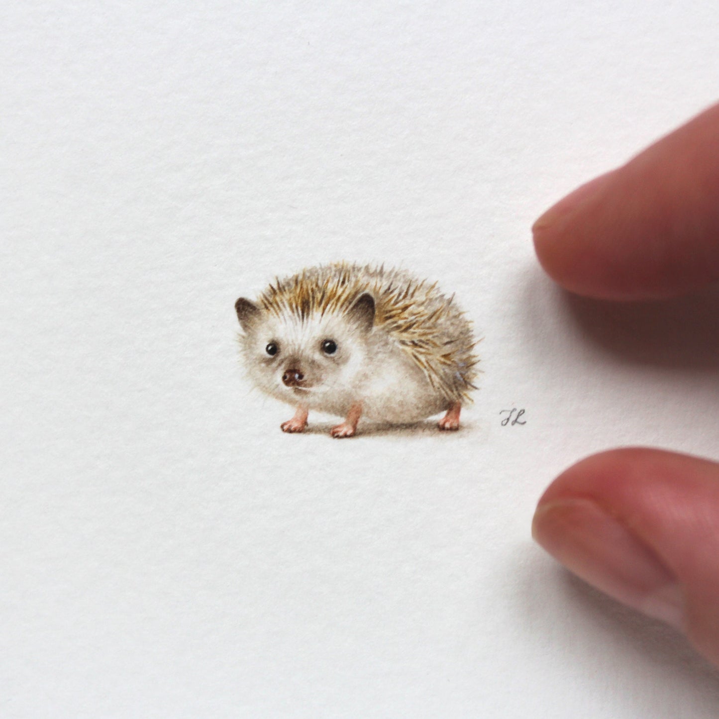 Hedgehog. Print from original watercolor miniature painting