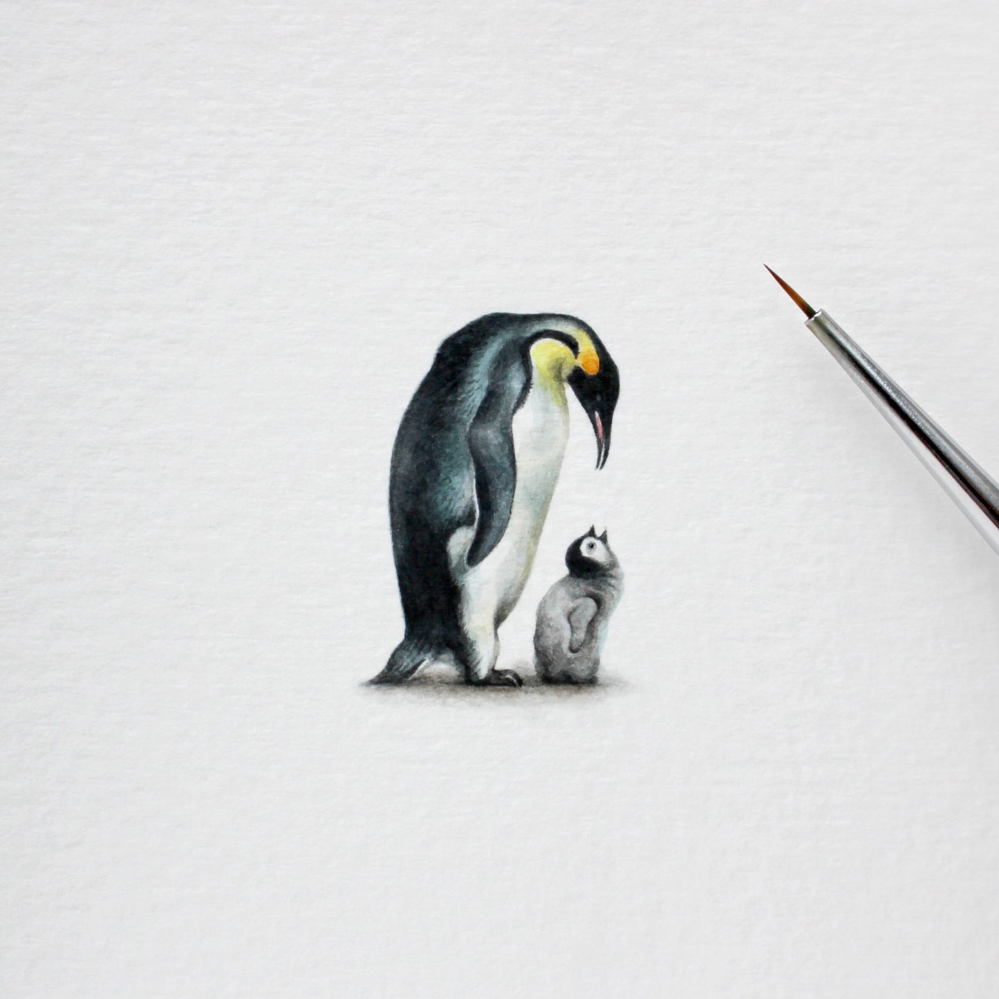 Penguins. Print from original watercolor miniature painting