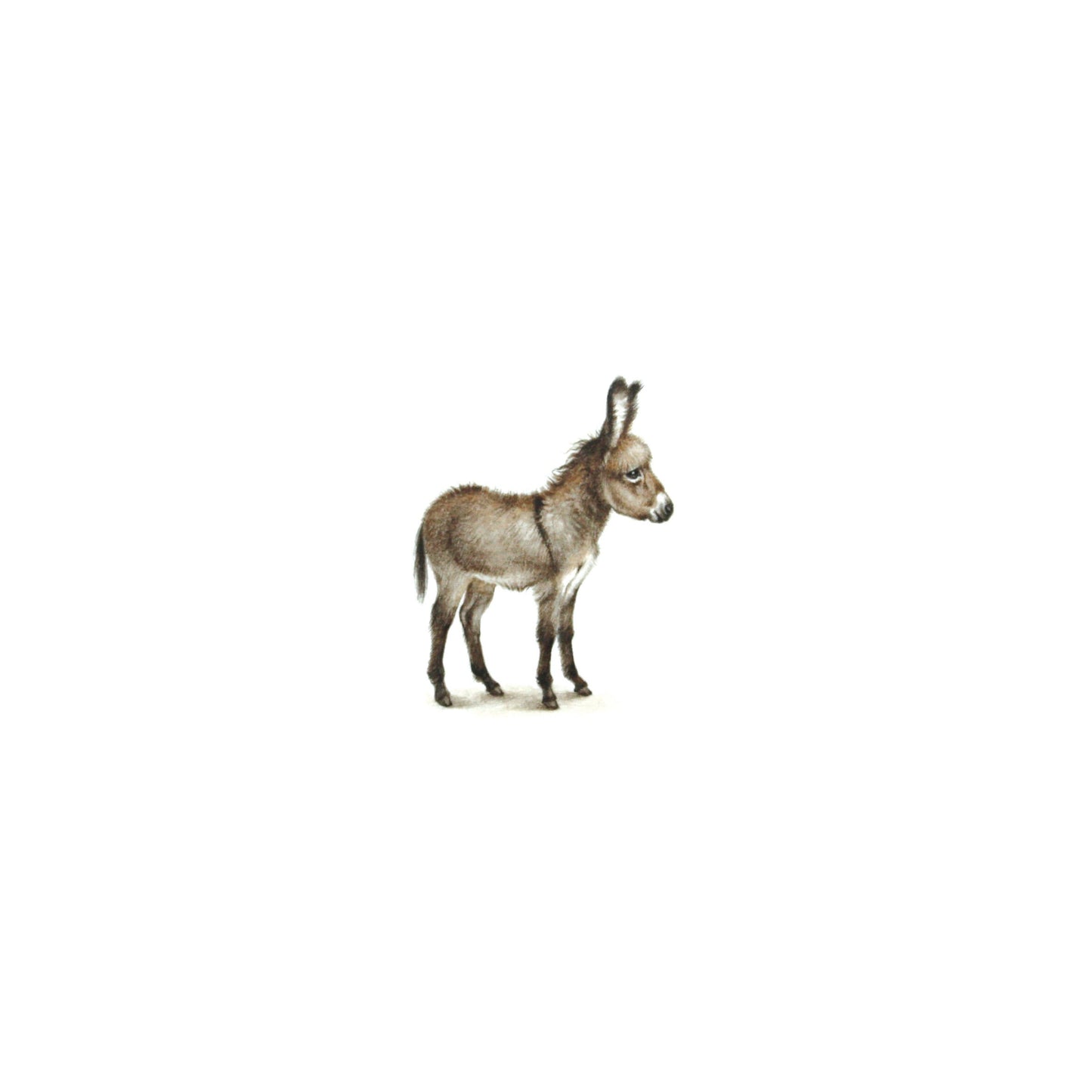 Donkey. Print from original watercolor miniature painting