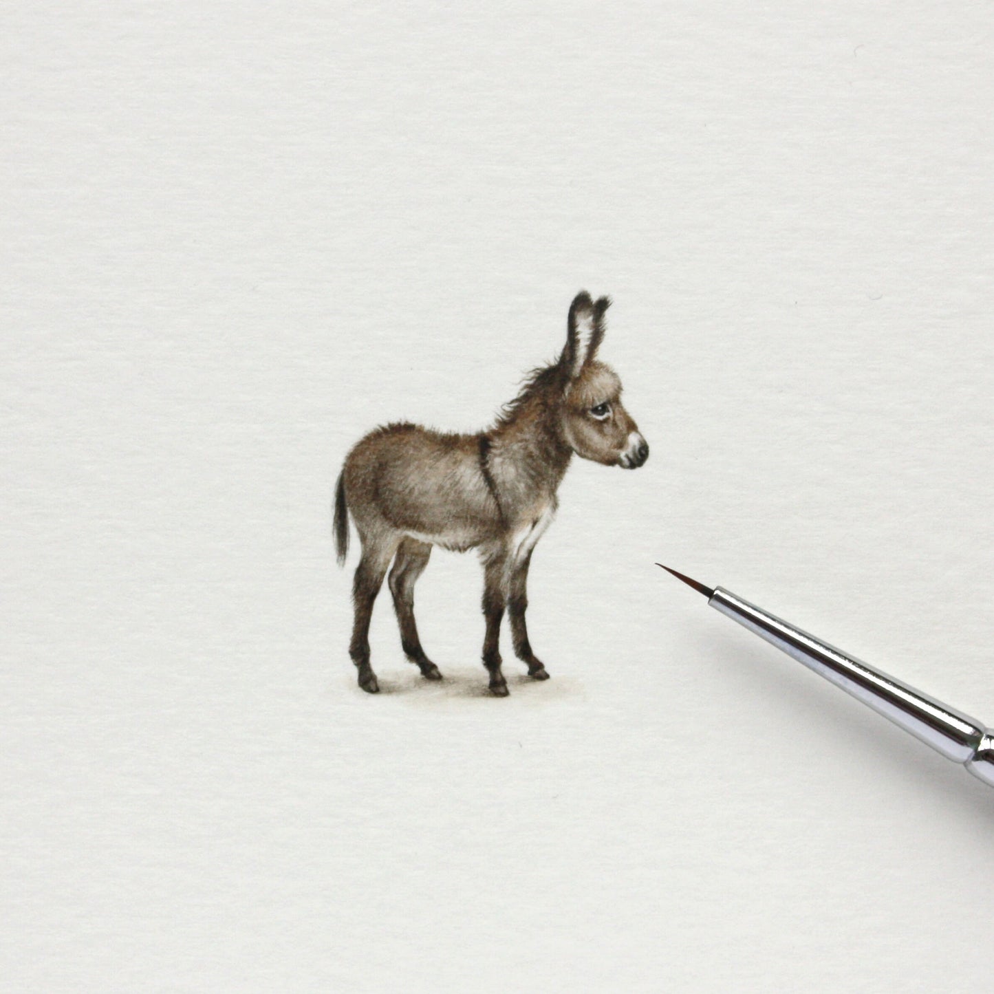 Donkey. Print from original watercolor miniature painting