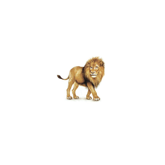 PRINT of watercolor miniature painting. Lion (Panthera leo)