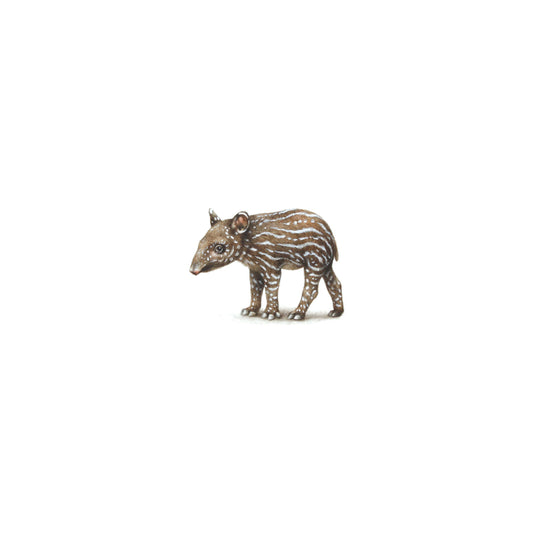 PRINT of watercolor miniature painting. Baby Malayan Tapir