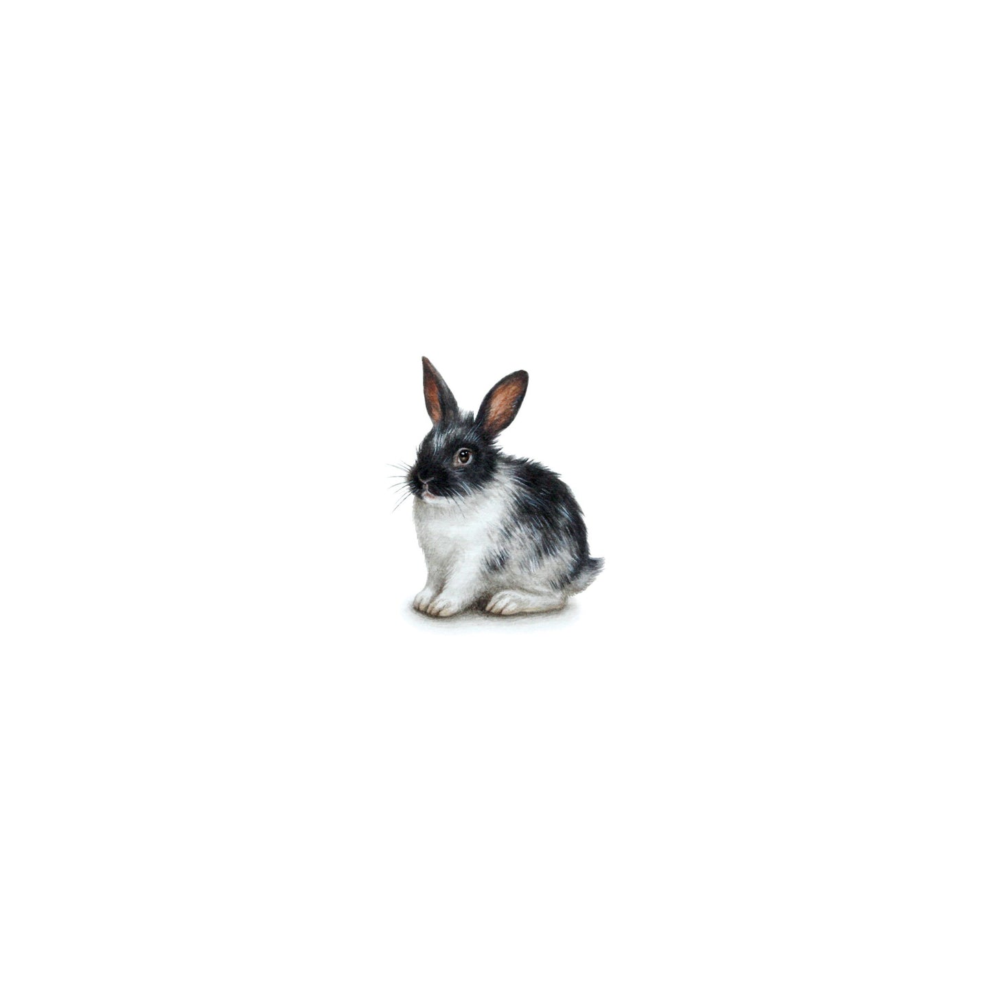 Rabbit. Print from original watercolor miniature painting