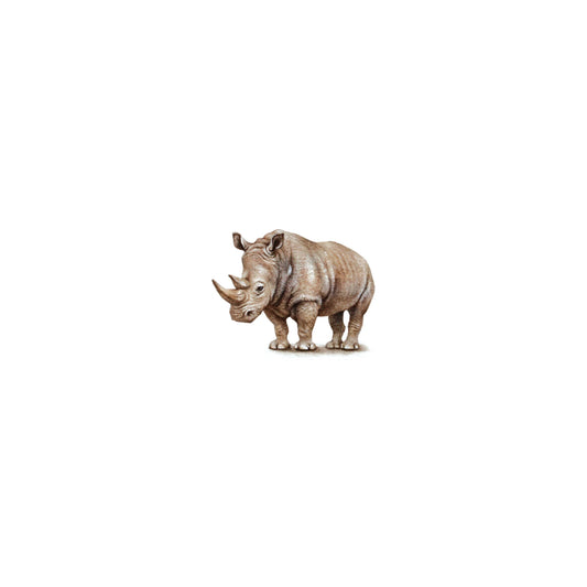 White Rhino (Ceratotherium simum). Print from original watercolor miniature painting