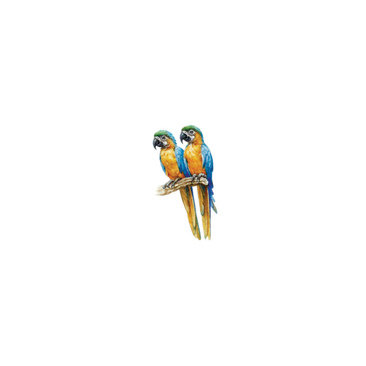 Blue and Gold Macaws. Print from original watercolor miniature painting