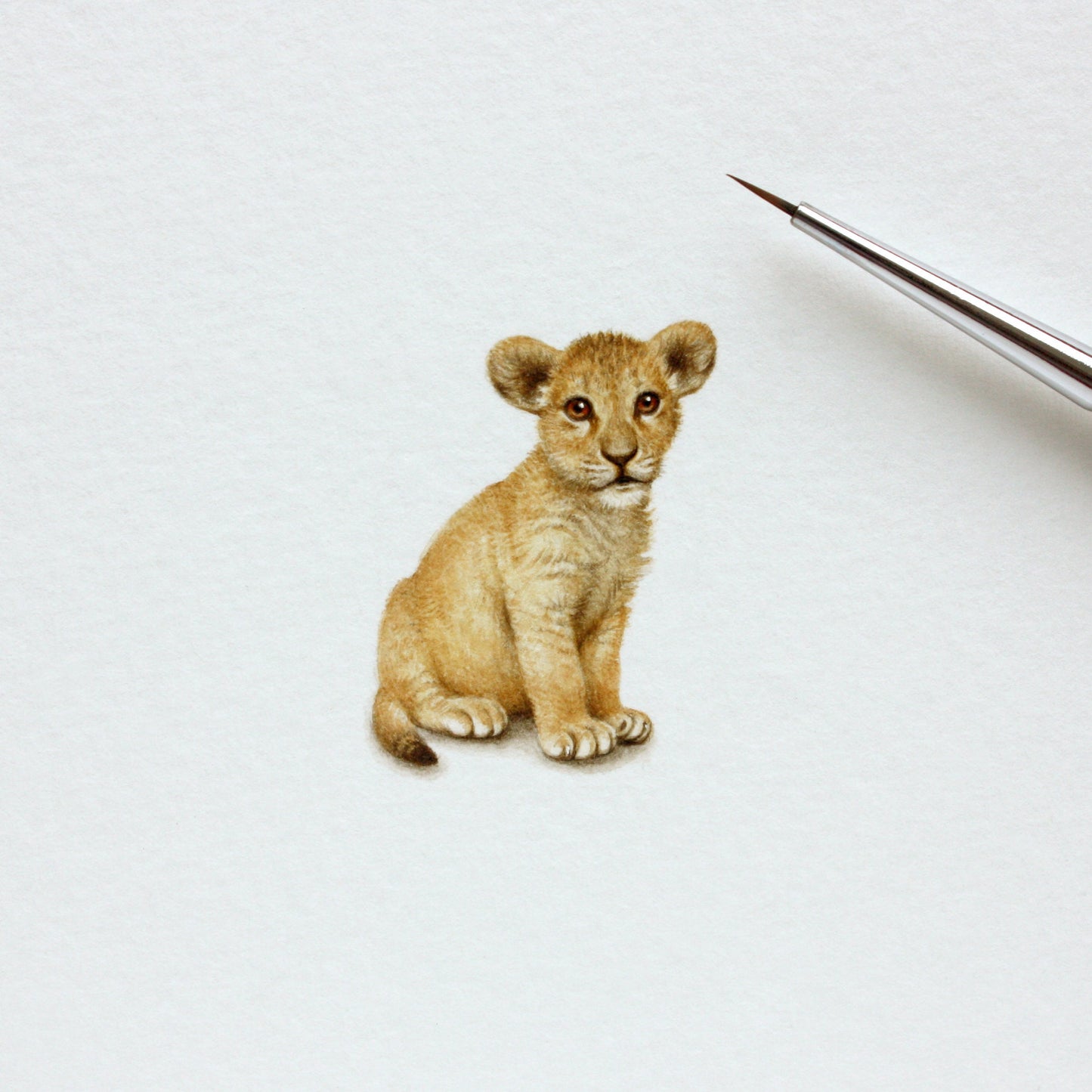 Lion cub. Print from original watercolor miniature painting