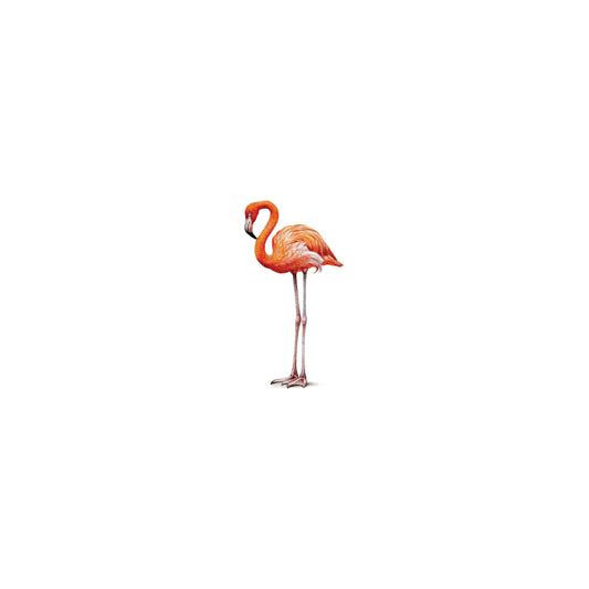 Flamingo. Print from original watercolor miniature painting