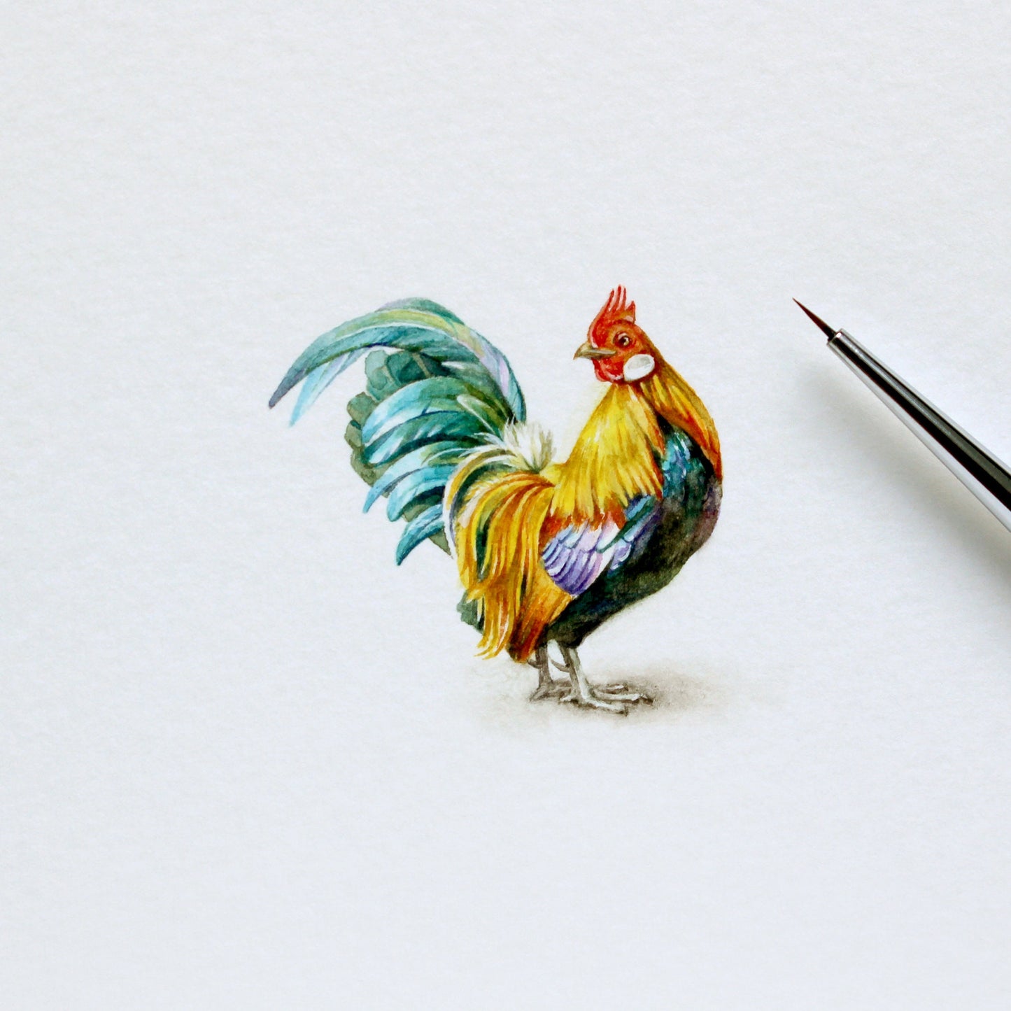 Rooster. Print from original watercolor miniature painting