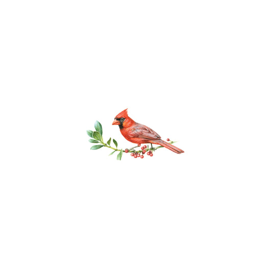 PRINT of watercolor miniature painting. Northern cardinal