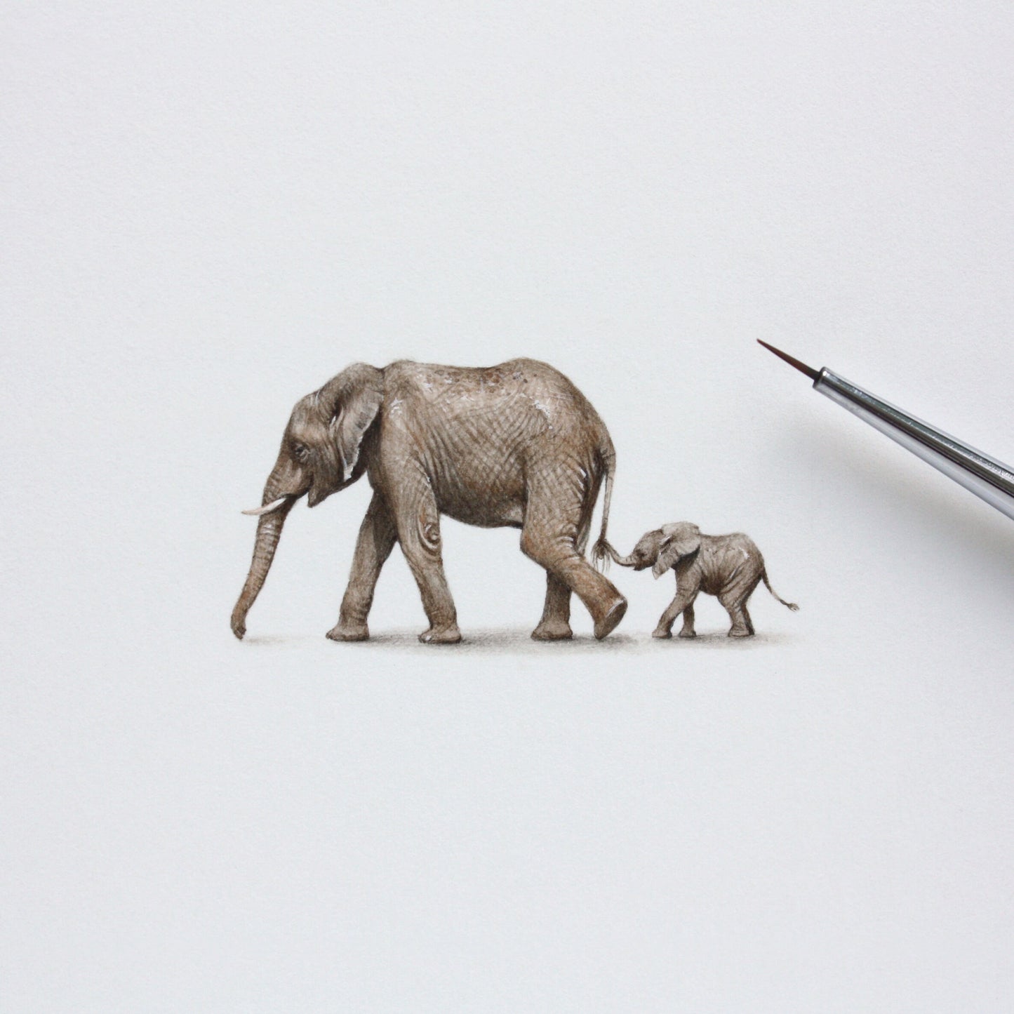 Elephants. Print from original watercolor miniature painting