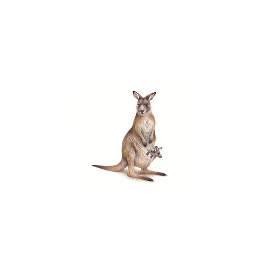 PRINT of watercolor miniature painting. Kangaroo