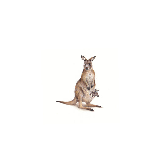 Kangaroo. Print from original watercolor miniature painting